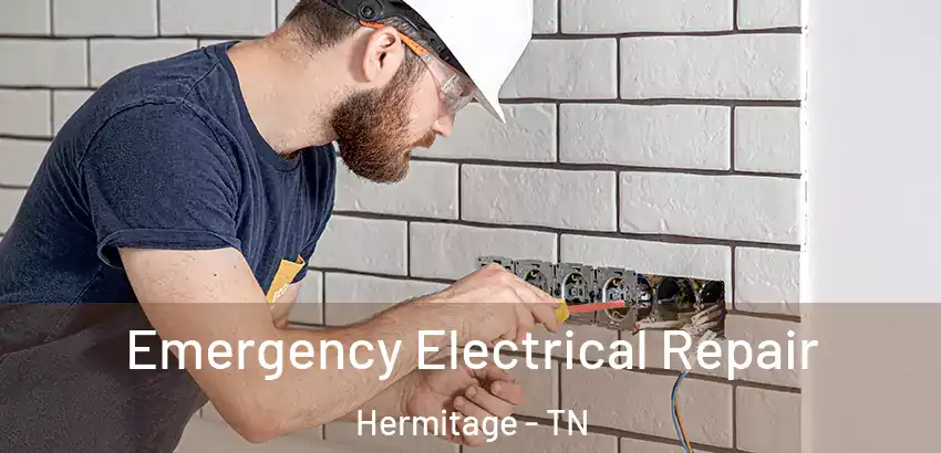 Emergency Electrical Repair Hermitage - TN
