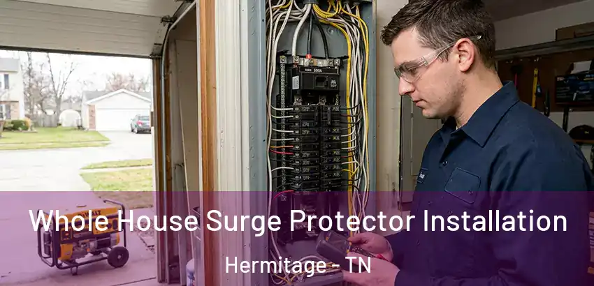 Whole House Surge Protector Installation Hermitage - TN